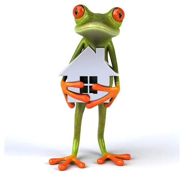 Vtipné kreslené žába — Stock fotografie