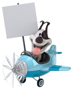 Uçak içinde komik köpek