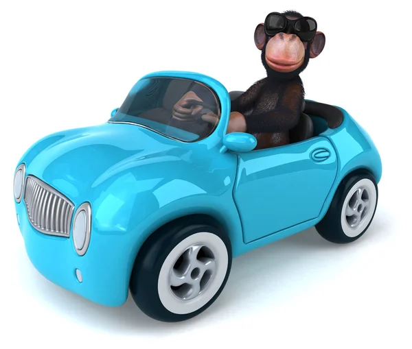 Funny monkey in car — Stock Photo, Image