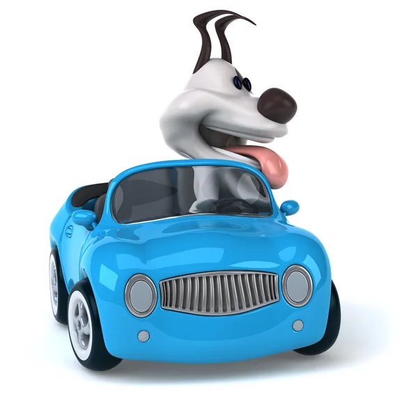 Grappige hond in auto — Stockfoto