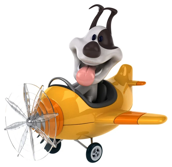Uçak içinde komik köpek — Stok fotoğraf