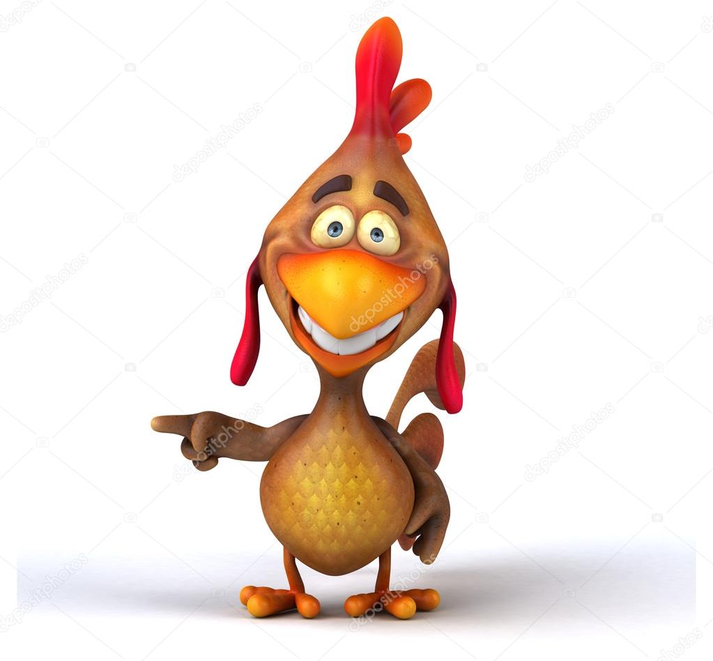 10 Bebedouros Automáticos para Galinhas | TikTok, image size:1023x948