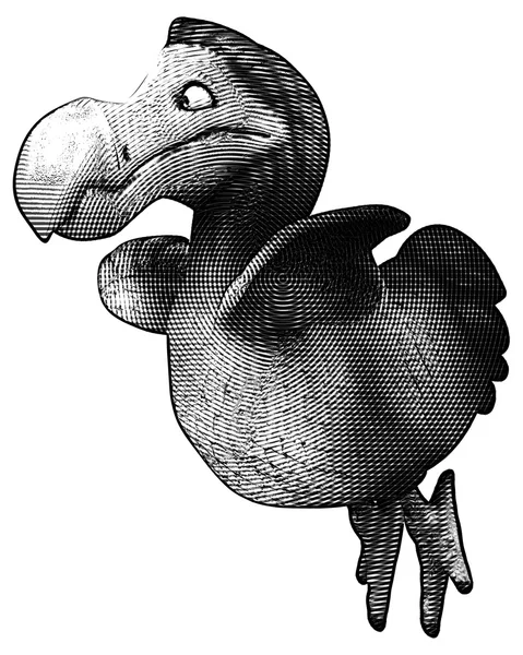 Funny cartoon dodo — Stock Photo, Image