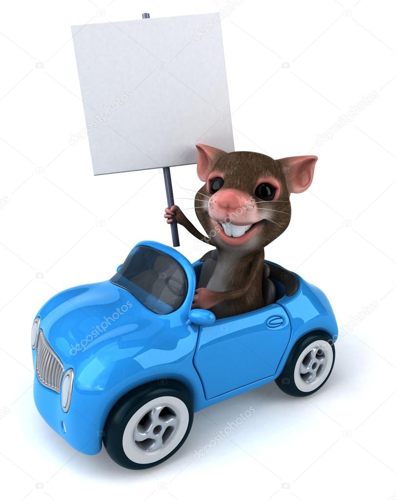 Funny mouse in car