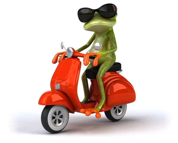 Fun frog on white — Stock Photo, Image