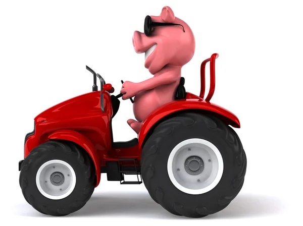 Divertente maiale cartone animato — Foto Stock