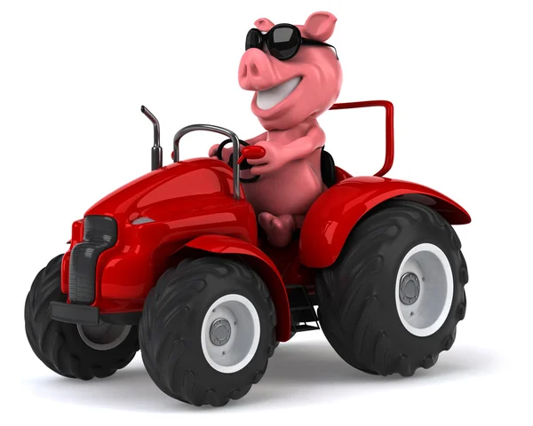 トラクターで面白い豚 — ストック写真