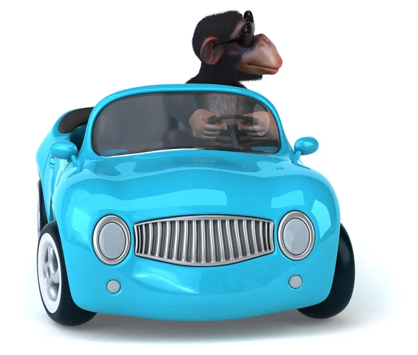 Leuk aap in auto — Stockfoto