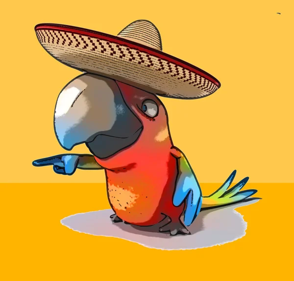 Leuke papegaai met sombrero — Stockfoto