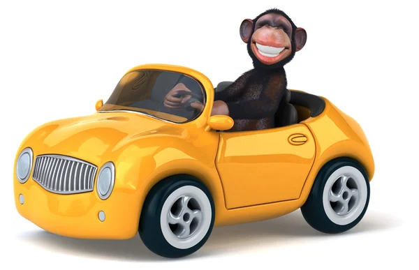 Divertido mono en coche — Foto de Stock