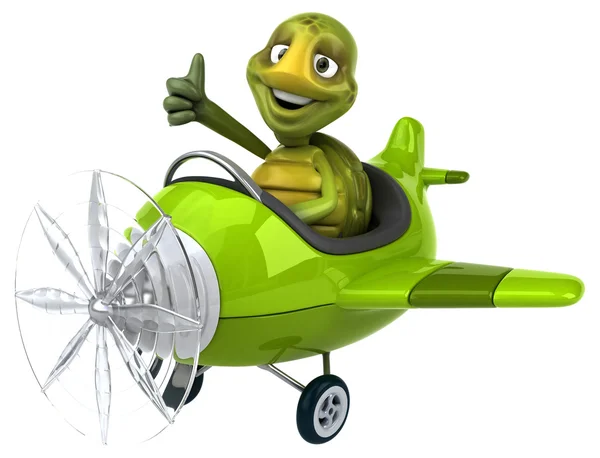 Fun turtle in plane — Stock Photo, Image