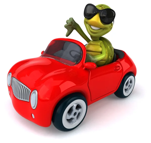 Leuke schildpad in de auto — Stockfoto