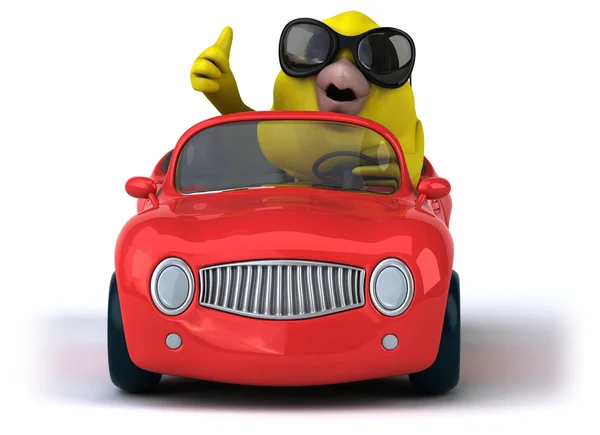 Fun bird in car — Stock Photo, Image