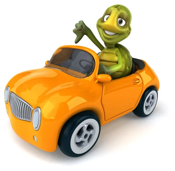 Fun turtle in the car — Stock Photo, Image