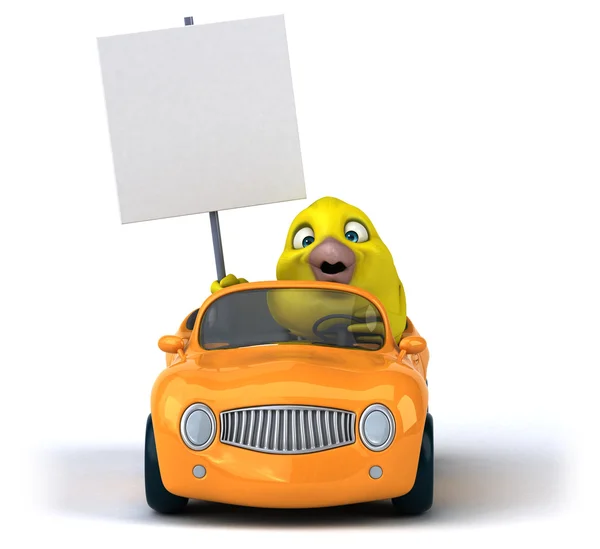 Fun bird in car — Stockfoto