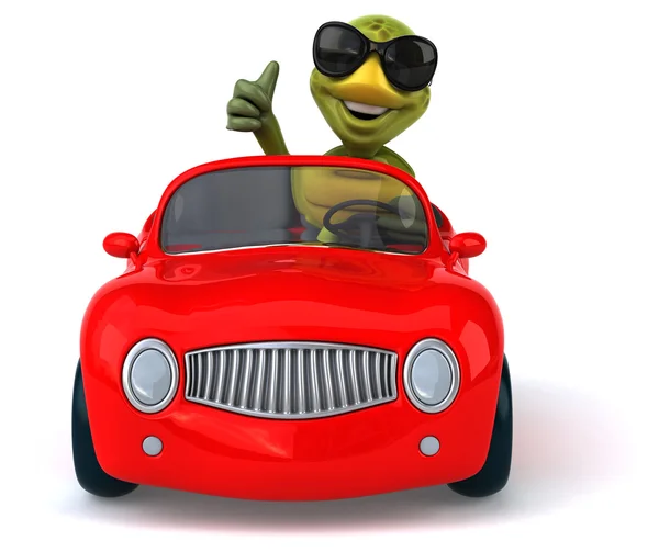 Zábavné želva v autě — Stock fotografie