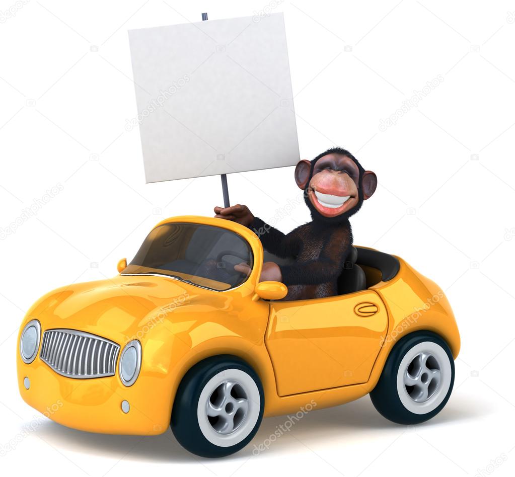 Fun monkey in car