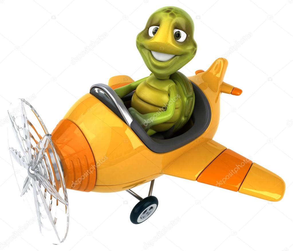 Fun turtle in plane