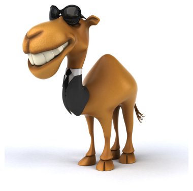 Beyaz eğlenceli deveye