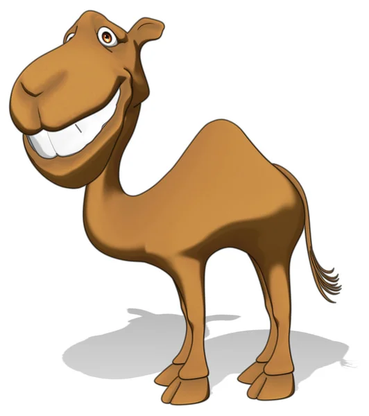 Spaß Kamel auf weiß — Stockfoto