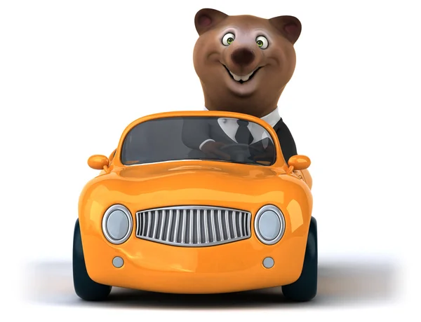 Fun bear in car on white — Stock Photo, Image