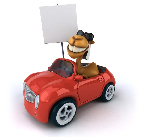 Fun camel in car — Stock Photo, Image