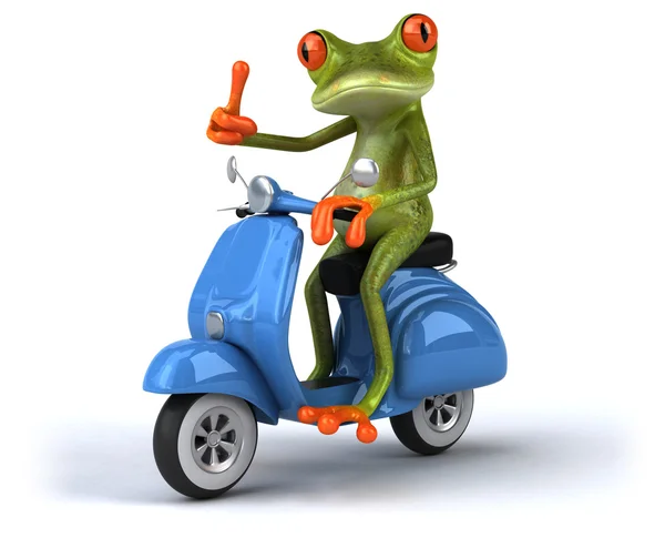 Grenouille amusante sur scooter — Photo