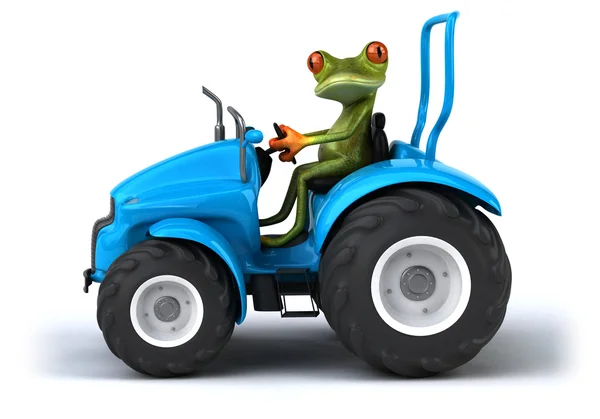 Grenouille amusante sur tracteur sur blanc — Photo