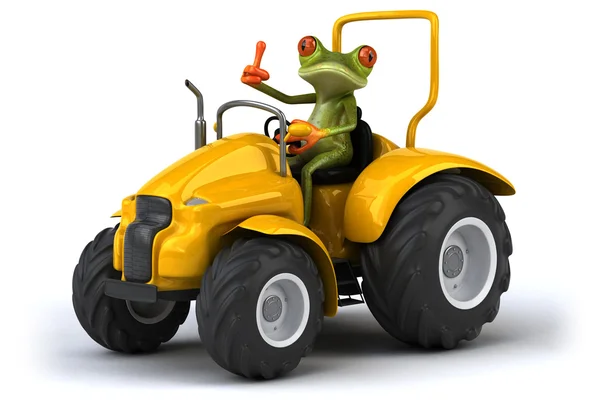 Grenouille amusante sur tracteur sur blanc — Photo