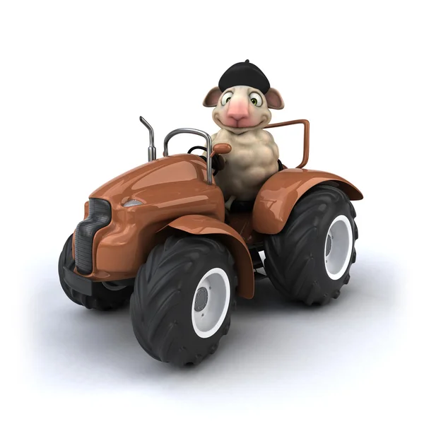 Oveja divertida en tractor —  Fotos de Stock