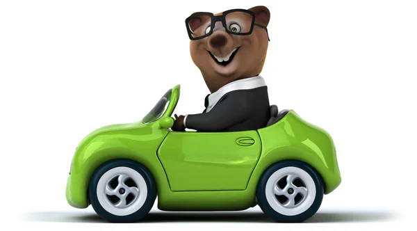 Zábavné medvěd v autě na bílém pozadí — Stock fotografie