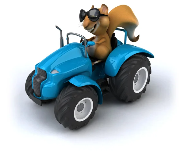 Zábavné veverka v traktoru — Stock fotografie