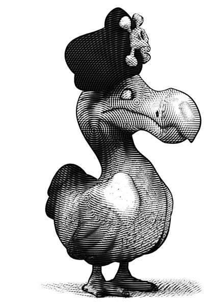 Funny cartoon dodo — Stock Photo, Image