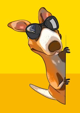 komik karikatür kanguru