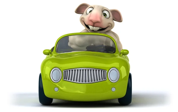 Funny sheep in green car — Stock Photo, Image