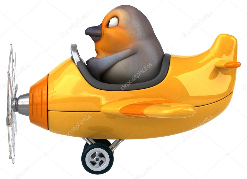 Funny bird in aeroplane