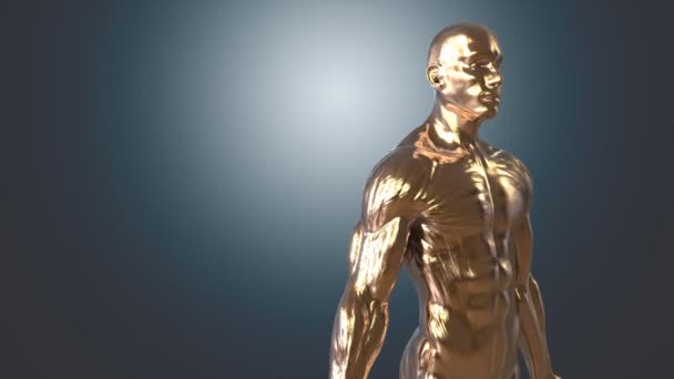 Human body, anatomical concept — Stock Video