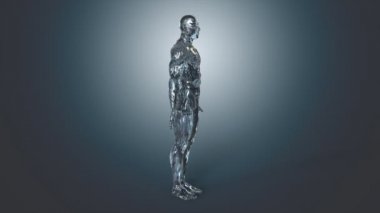 İnsan vücudunun anatomik kavramı