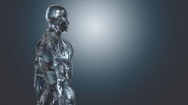 İnsan vücudunun anatomik kavramı