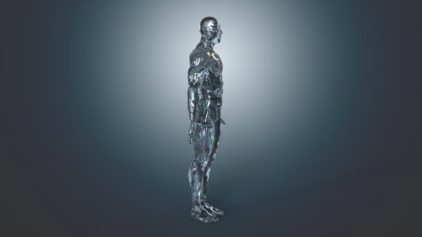 Le corps humain dans le concept anatomique 