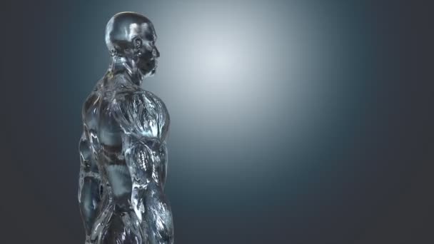 Le corps humain dans le concept anatomique 