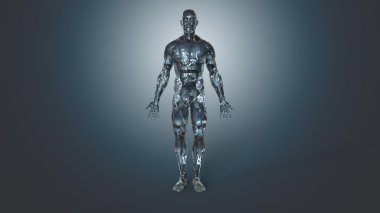 İnsan vücudunun anatomik kavramı