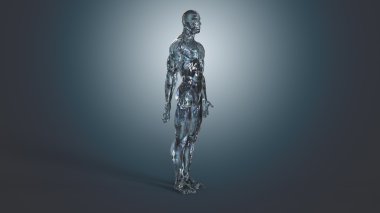 İnsan vücudunun anatomik kavramı
