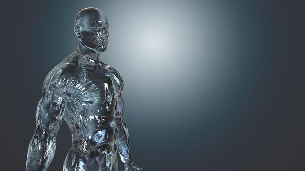 Human body anatomical concept