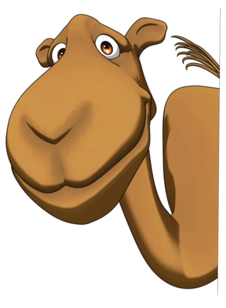 Fun cartoon camel — Stock Photo, Image