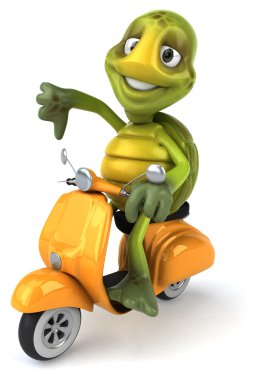 Scooter üzerinde eğlenceli kaplumbağa