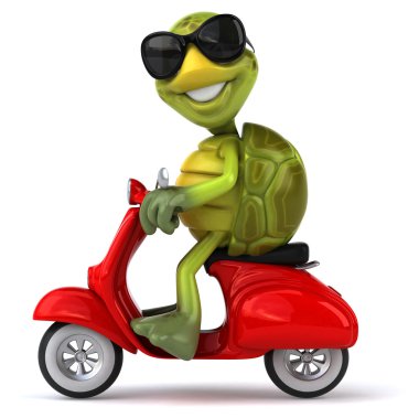 Scooter üzerinde eğlenceli kaplumbağa
