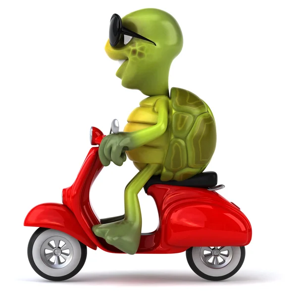 Fun cartoon turtle — Stock Photo, Image