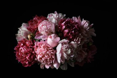 Siyah arka planda kırmızı ve pembe şakayık demeti. Eski kartpostal. Kartvizit şablonu, tebrikler, davetiyeler, iç dekorasyon ve morg.