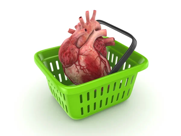 Lidské srdce v košíku. — Stock fotografie